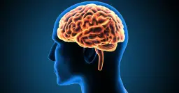 Encefalopatia: objawy, przyczyny i skutki, które warto znać