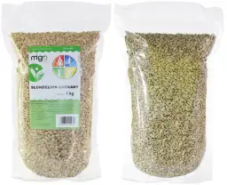 Ile kalorii ma słonecznik łuskany? Poznaj wartość odżywczą