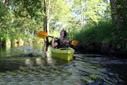 Spływ Piaśnicą: Cennik, organizacja i trasa zaplanuj przygodę!