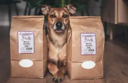 Jaki błonnik dla psa? Wybierz najlepszy dla zdrowia pupila