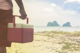 Jaka lodówka na kemping? Wybierz idealny model dla siebie!