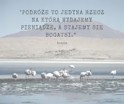 Poznaj najpiękniejsze krótkie cytaty o lecie i wakacyjnych chwilach