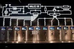 Nagły przypadek? Który z 5 numerów Tauron Kraków wybrać? Poradnik