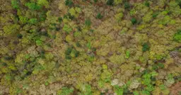  Odcienie koloru zielonego - poznaj całą gamę zieleni i zainspiruj się!