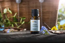 Kleszcze? Olejki eteryczne: Skuteczna ochrona i bezpieczne przepisy