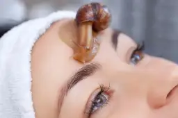 Usuwanie śluzu ślimaka: Świeże i zaschnięte plamy bez śladu