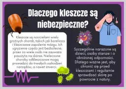 Jak zapobiec boreliozie? Kompletny przewodnik ochrony przed kleszczami