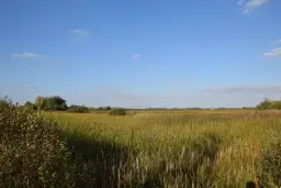 Rezerwat przyrody Stawy Siedleckie - niezwykłe miejsce pełne życia