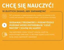 Jak szybciej się uczyć: skuteczne techniki, które naprawdę działają