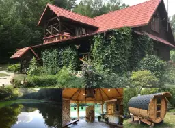 Gdzie na grzyby z noclegiem? Odkryj idealne miejsca na wypoczynek