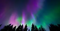 Zorza polarna: jak powstaje, co oznaczają kolory i czy zobaczysz ją w Polsce?