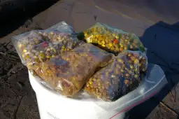 Jak prawidłowo przygotować łubin na ryby - skuteczne sposoby nęcenia