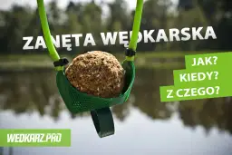 Zanęta wędkarska: Jak dobrać i przygotować, by złowić więcej?