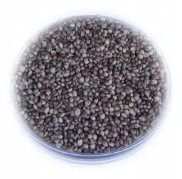 Gdzie kupić konopie na ryby: kompletny ranking najlepszych sklepów