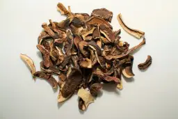 Czy można suszyć kanie? Obalamy te popularne mity o grzybach!