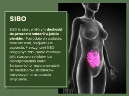 Inulina a SIBO: Czy pomoże w leczeniu? Korzyści i zagrożenia