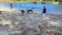 Gdzie na spacer z psem Lubelskie? Odkryj najlepsze miejsca dla psów