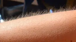 Gęsia skórka po angielsku? Idiomy, które zmrożą ci krew w żyłach