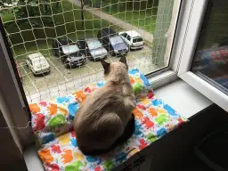 Zabezpieczenia okien dla kota - Siatka na okno uchylne