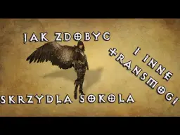 Diablo 3 skrzydła: Kompletny przewodnik jak zdobyć każdą parę?