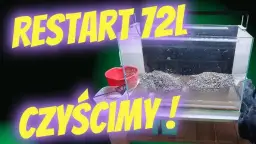 Kompletny przewodnik: Jak prawidłowo przeprowadzić restart akwarium w 7 prostych krokach