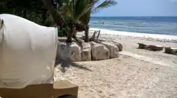 Kenia kiedy jechać: najlepszy czas na safari i relaks na plaży