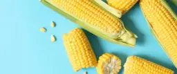 Ile kalorii ma kukurydza? Zaskakujące różnice w kaloryczności