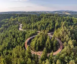 Najlepsze atrakcje w Dębowcu, które musisz zobaczyć na wycieczce