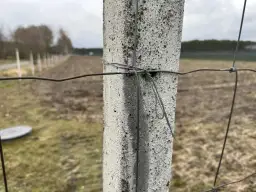 Jak zamontować siatkę leśną - proste kroki, które ułatwią instalację