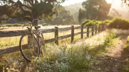 Mój rower: Czy ten film poruszy twoje serce? Recenzja emocji