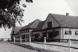 Stadnina Koni Michałów - historia, hodowla i pasjonujące fakty