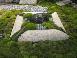 Na jakiej glebie rośnie mech? Odkryj idealne warunki dla mchu