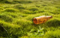 Ile kosztuje butelka zwrotna po piwie? Sprawdź kaucje w sklepach