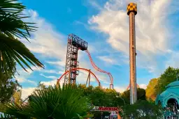 Torre de caída libre y montaña rusa anaranjada en un parque de atracciones con palmeras.