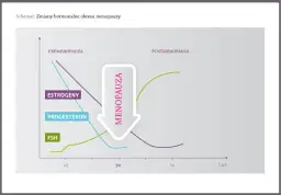 Jajniki po menopauzie: czy nadal produkują hormony? Poznaj prawdę!