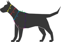Sylwetka psa z kolorowymi strzałkami wskazującymi różne wymiary ciała.