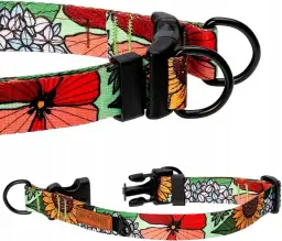 Jaką obrożę dla cane corso wybrać, aby zapewnić komfort i bezpieczeństwo?