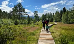 Rodzina spaceruje drewnianą kładką przez malownicze torfowiska Bieszczad.