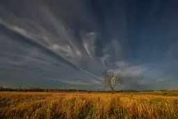 Jesienne pole i samotne drzewo pod dramatycznym niebem. Idealne ujęcie do mojego bloga o fotografii.