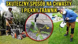 Skuteczne sposoby na oprysk trawnika od chwastów bez ryzyka
