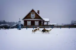 Zimowe atrakcje w Białowieży: Co robić i gdzie się bawić w zimowej scenerii