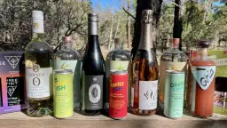 Wybór bezalkoholowych drinków, gdy szukasz czym zastąpić alkohol izopropylowy. Znajdziesz tu wina, koktajle i napoje gazowane.