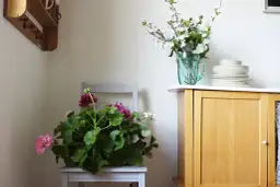 Jak zrobić kwietnik z krzesła? Metamorfoza DIY krok po kroku!