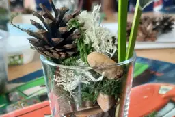 Jak zrobić las w słoiku w przedszkolu - kreatywne pomysły dla dzieci