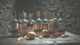 Jaki rum do drinków? Oto najlepsze wybory do Twoich koktajli