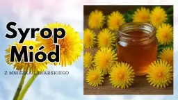 Jak zrobić herbatę z mniszka lekarskiego: przepis domowy krok po kroku