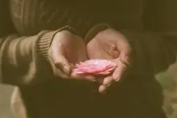 Sentymentalny - znaczenie i cechy osoby wrażliwej emocjonalnie