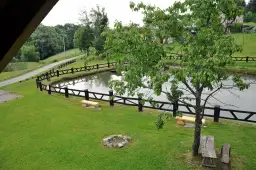 Atrakcje w Berezce: Odkryj rodzinne radości i agroturystyczne przygody