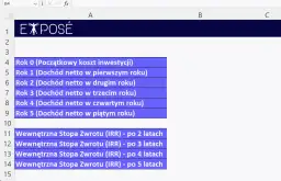 Jak obliczyć IRR w Excelu - uniknij najczęstszych błędów i pułapek