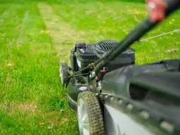 Jakie paliwo do kosiarki z olejem czy bez - uniknij kosztownych błędów